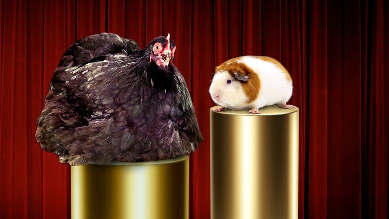 Backdrop de Going Fur Gold