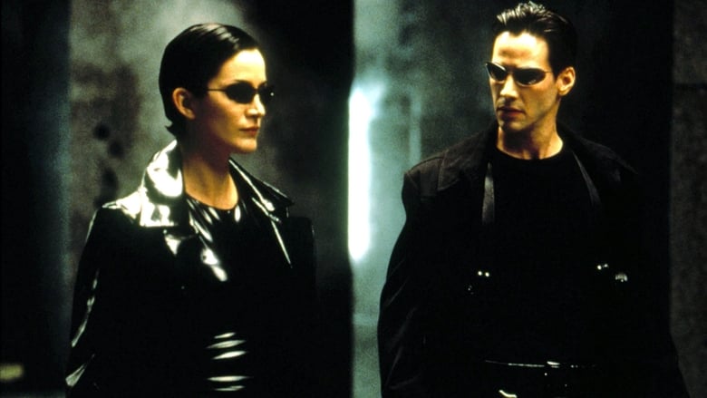 Backdrop de Matrix