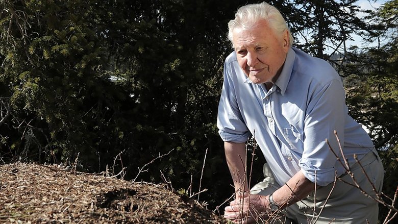 Backdrop de Attenborough and the Empire of the Ants