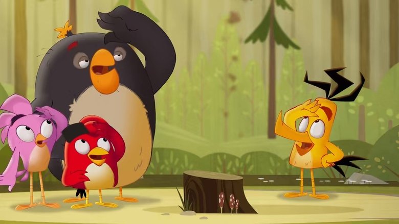 Backdrop de Angry Birds: Locuras de verano