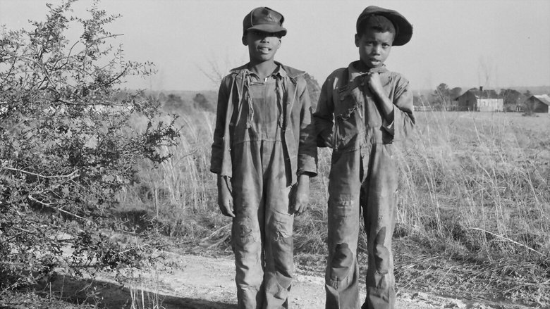 Backdrop de Riveted: The History of Jeans