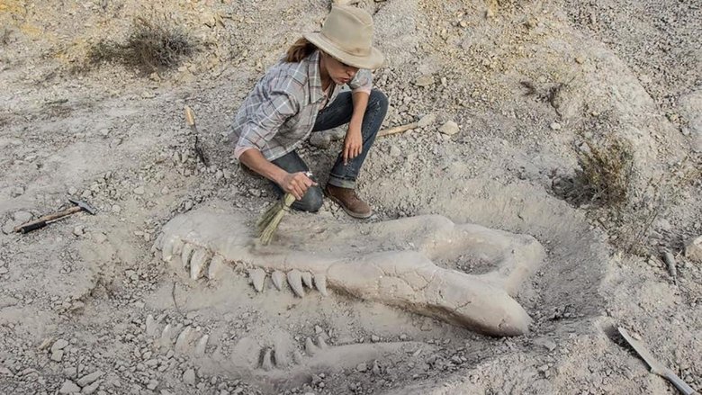 Backdrop de Valley of Bones