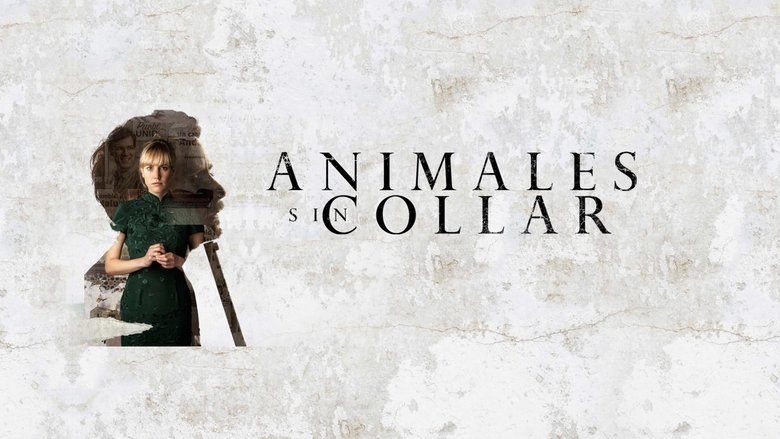Backdrop de Animales sin collar