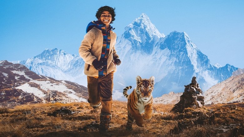 Backdrop de El niño y el tigre