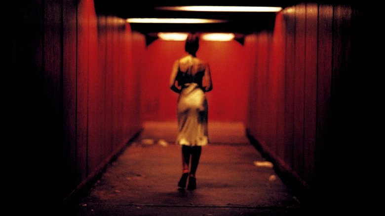 Backdrop de Irreversible