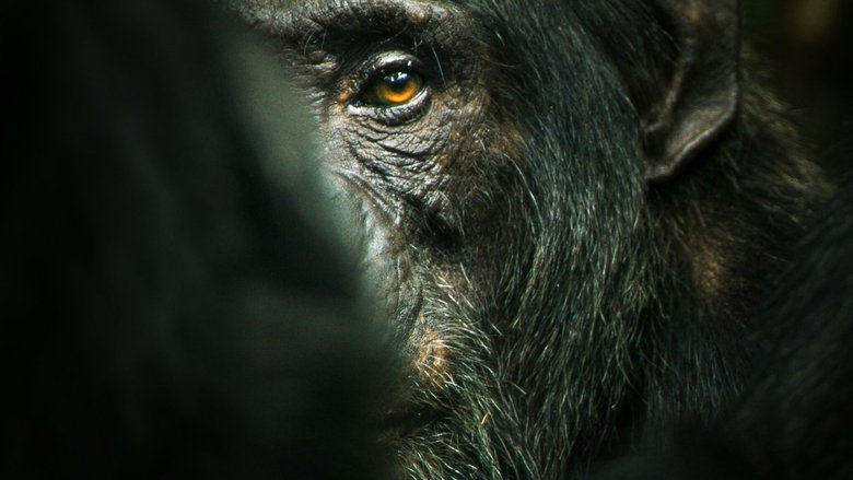 Backdrop de El imperio de los chimpancés